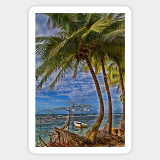 Panama. Bocas del Toro. Boat, Sea and the Palm trees. Sticker